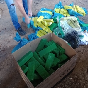 Aproximadamente 300 quilos de drogas da delegacia de Tijucas são incineradas