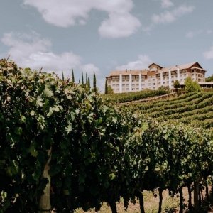 Grupo empresarial planeja construir hotel boutique com vinícola da região