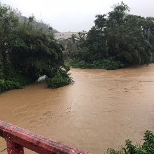 Nova Trento tem deslizamento de terra; já choveu 40,5 milímetros no município