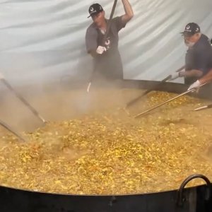 Maior risoto de camarão do Brasil: Festival em Porto Belo promete delícias à beira-mar