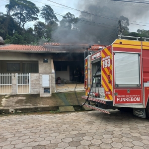 Mulher relata terror após ex-companheiro colocar fogo em casa e matar seis gatos