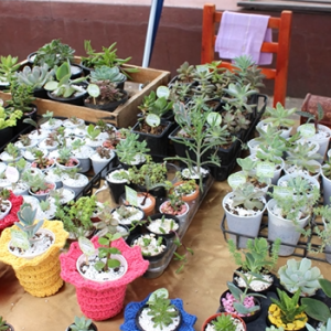 Feira Nossa Terra, Nossas Mãos retorna neste sábado