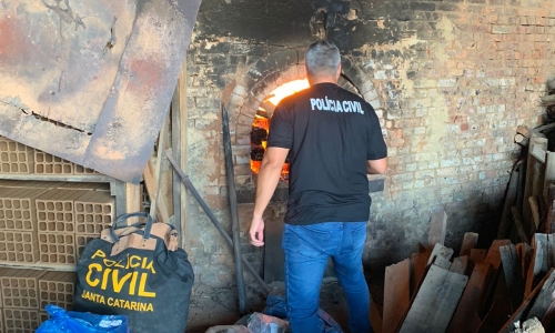 Cerca de 400 quilos de drogas apreendidas são incinerados na região