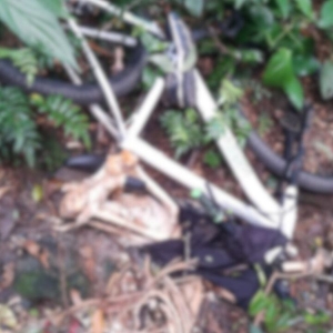 Ossada humana é encontrada em terreno de difícil acesso na região