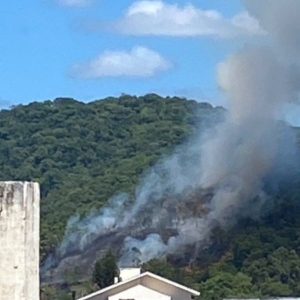 Incêndio de grandes proporções atinge mata na margem da SC-410