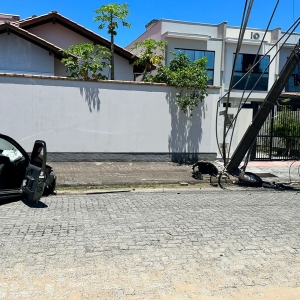 Mulher sofre mal súbito no volante e bate carro em poste; região fica sem energia