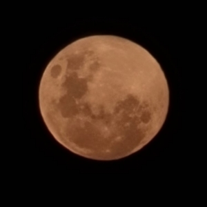 Última lua cheia do ano encanta moradores de Tijucas e região com beleza