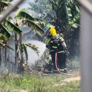 Incêndio que ameaçava comércio e casas em Tijucas é controlado
