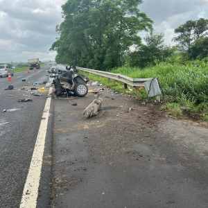 Tragédia na BR-101: Jovem morre após colisão seguida de capotamento