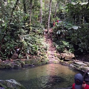  Mulher morre afogada em cachoeira após tentativas de reanimação
