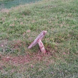 Motociclista fica ferido no pescoço ao colidir contra cerca de arame