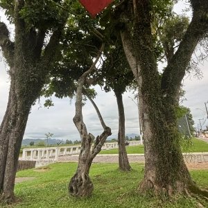 Frente fria derruba temperaturas; Calor retorna a partir de quinta
