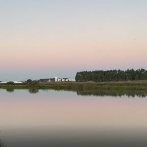 VÍDEO: Prefeitura de Tijucas contrata empresa para definir distância ideal de construções às margens dos rios