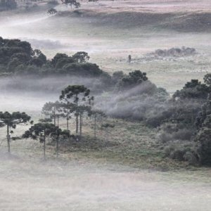 Temperaturas baixas persistem em SC com geada na Serra; confira a previsão do final de semana