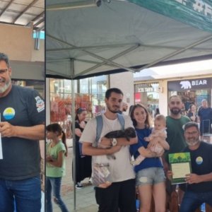Feira de adoção encontra novos lares para 12 animais em situação de abandono