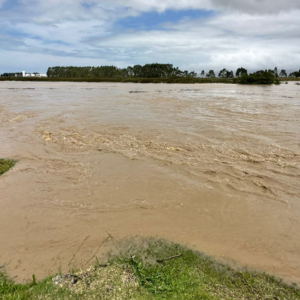 Nível do Rio Tijucas atinge 5,10 metros acima do normal e apresenta tendência de alta