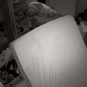 Criminosos invadem gráfica de Tijucas e passam a madrugada no estabelecimento