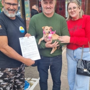 Feira de Adoção durante evento garante novos lares para animais resgatados