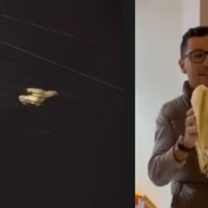 Resgate inusitado: Galinha é salva após pousar em fiação em Balneário Camboriú 