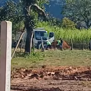 Trabalhador é atingido por ‘palanque’ de madeira durante manobra de caçamba