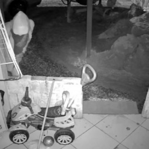Após quatro furtos em residência, morador instala câmera e flagra criminoso