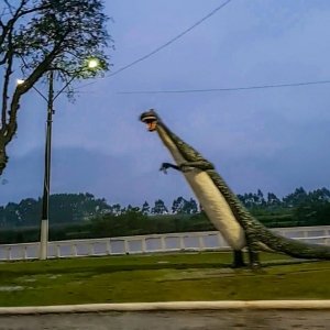 Formação de nova frente fria traz chuva intensa para Santa Catarina