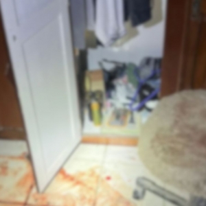 Homicídio brutal em Tijucas: Corpo encontrado em lago após briga entre funcionários