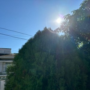 Previsão do tempo: Santa Catarina terá dias de sol e baixas temperaturas