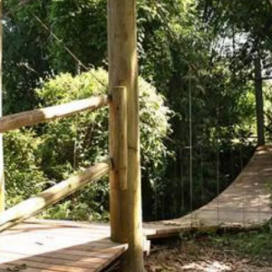 Dois homens são detidos por consumo de maconha no Parque das Capivaras 