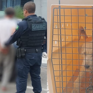 Cães em situação de maus-tratos são resgatados e agressor é preso