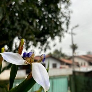 Frio intenso e chuvas retornam a Santa Catarina com chegada de frente fria