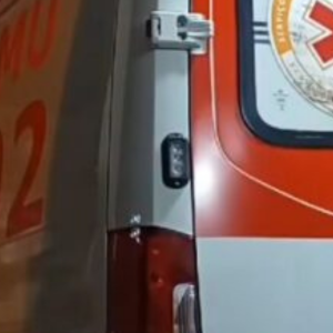 Jovem com paralisia cerebral é atacada por cachorro em Nova Trento