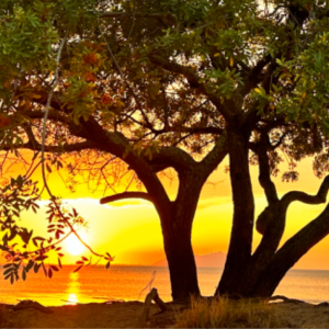 Adeus ao frio: a região sul do Brasil se prepara para o calor