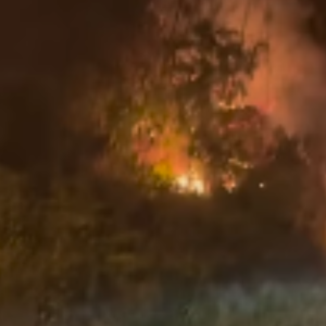 Incêndio de grandes proporções toma vegetação em Canelinha