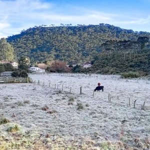 Previsão climática para setembro indica frio tardio e temporais na primavera