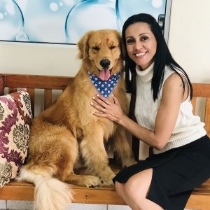 No Minuto Pet de hoje, 17 de setembro a tia Flávia traz detalhes sobre a raça Golden Retriever