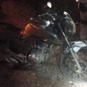 Motociclista atropela cachorro em rodovia SC-108, em Nova Trento