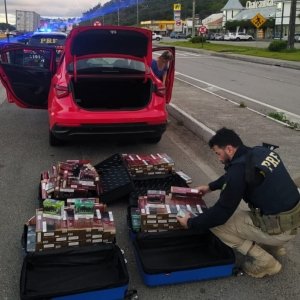 Carga de cigarros contrabandeados do Paraguai é apreendido na BR-101