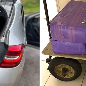 Operação apreende 150 kg de maconha e prende suspeito em Tijucas 