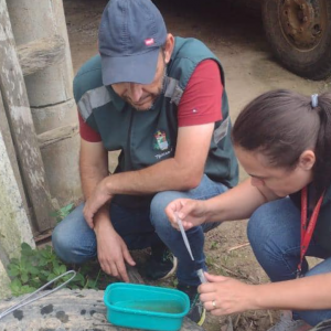 Tijucas segue em alerta para dengue com ações de prevenção intensificadas