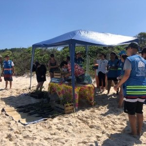 Bombinhas recebe Seminário Bandeira Azul para promover gestão sustentável das praias