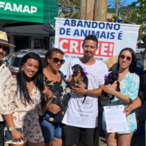 Adoção responsável:18 animais são adotados em feira de doação