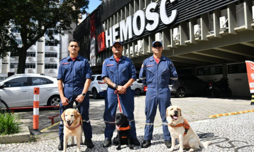 Cães de busca dos bombeiros promovem ação pelo Dia Nacional do Doador de Sangue no HEMOSC 
