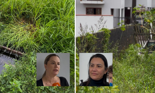 Moradores denunciam abandono de terrenos em Tijucas e alertam para riscos com focos de dengue