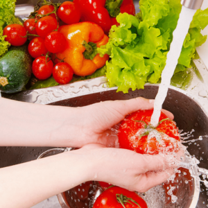 Surtos de Doenças: Técnicos são treinados para prevenir doenças por alimentos e água