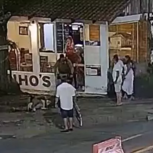 Policial interrompe ataque de pitbull e salva cão; PM ficou ferido