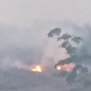 Incêndio em vegetação mobiliza bombeiros em São João Batista