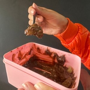 Vigilância intensifica fiscalização de alimentos em Tijucas e demais municípios do litoral 