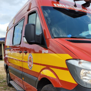 Criança de 1 ano e 7 meses morre após ser atropelada; mãe estendia roupa no momento do acidente