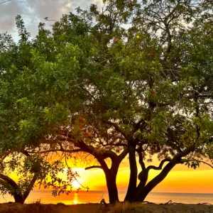 Calor extremo: região sob alerta de onda de calor até quinta-feira